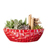 Potted Christmas Plant Arrangement from New York Blooms - Planter Gifts - New York Delivery.