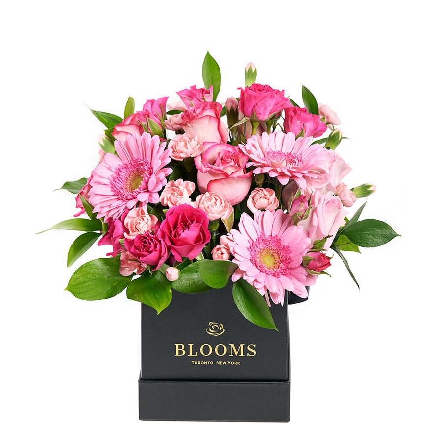 Color-Crazed Carnations Flower Gift