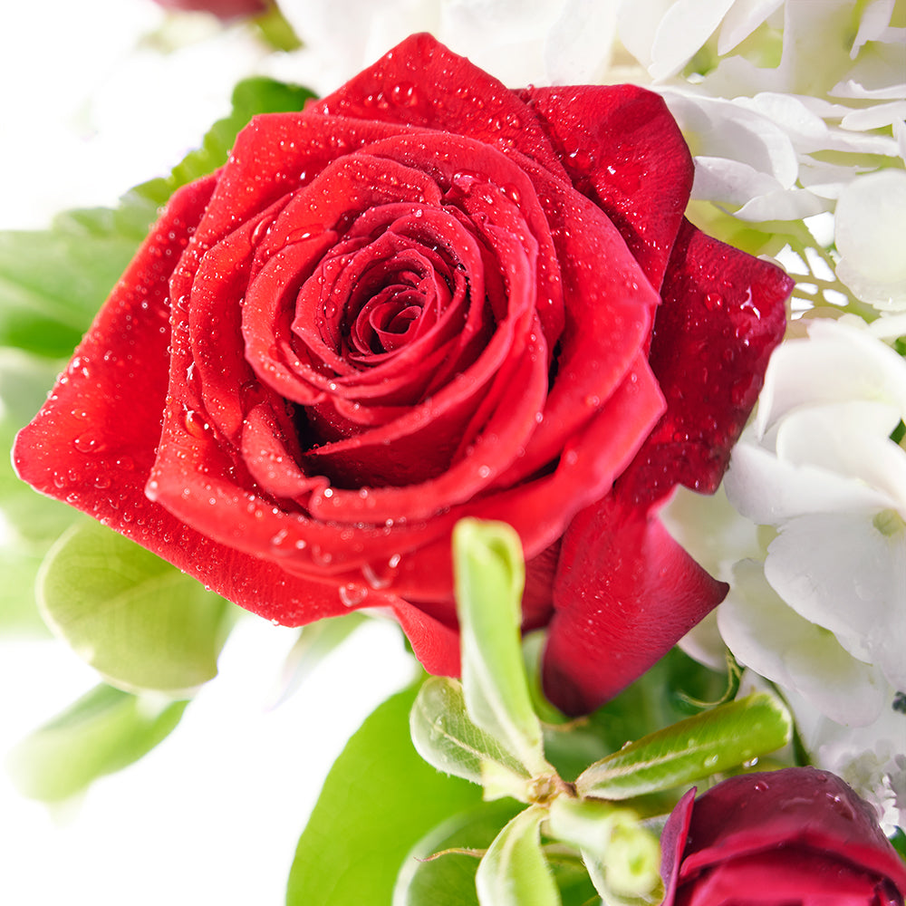 Rose and Hydrangea Vase with Wine from New York Blooms - Wine & Flower Gifts - New York Delivery.