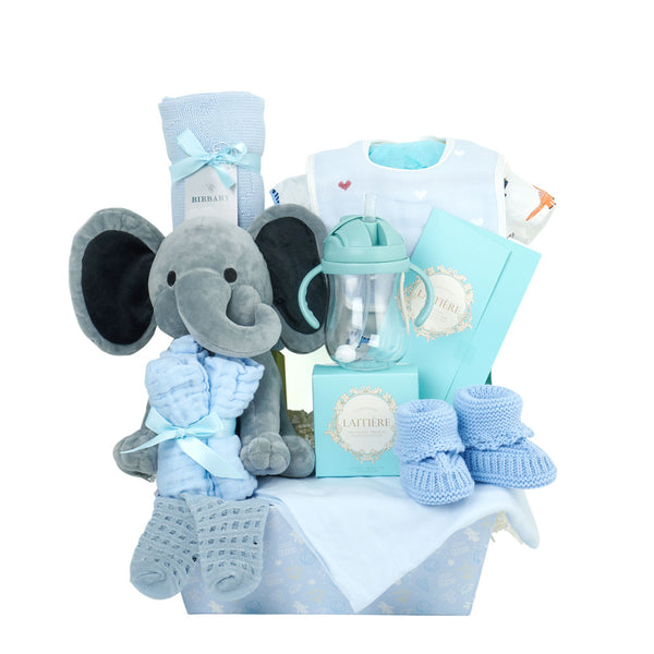 Baby Boy Gift Basket New York Delivery New York Blooms