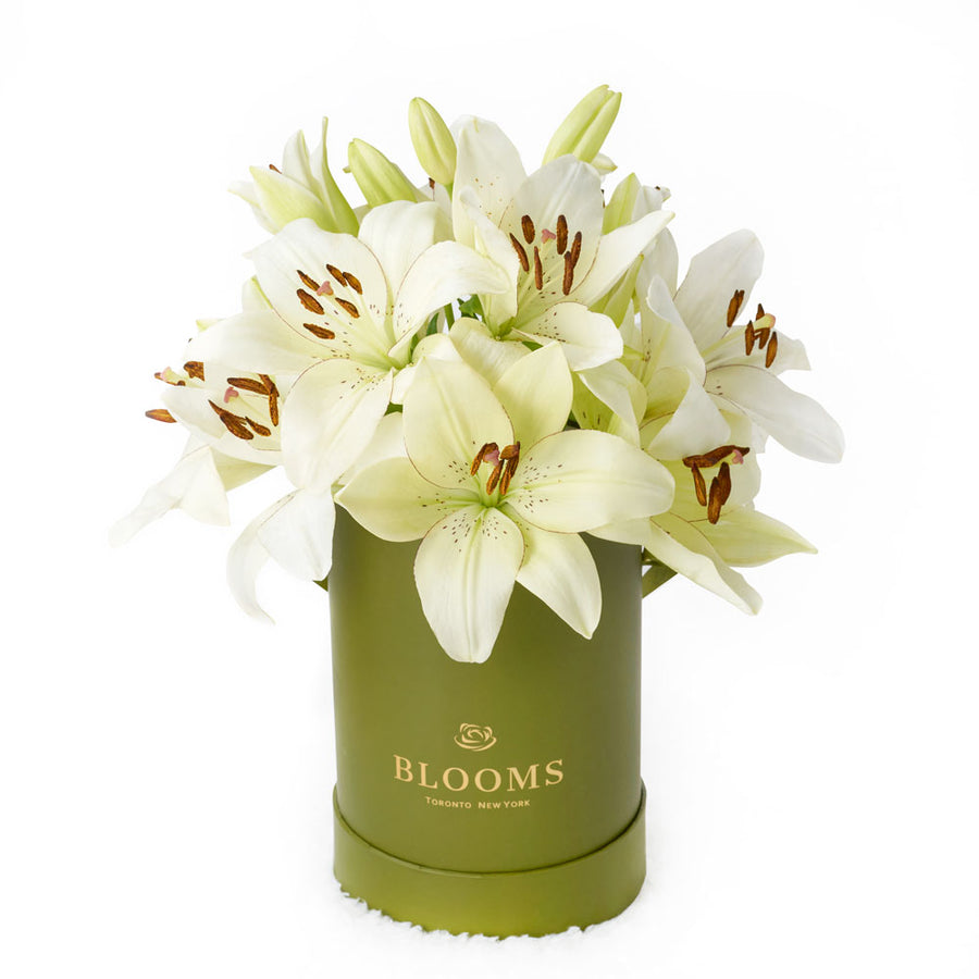 Cornsilk Surprise Lily Bouquet, White Lilies, Lily Gifts, Floral Hat Box, Floral Gift Baskets, Lily Hat Box, NY Same Day Delivery