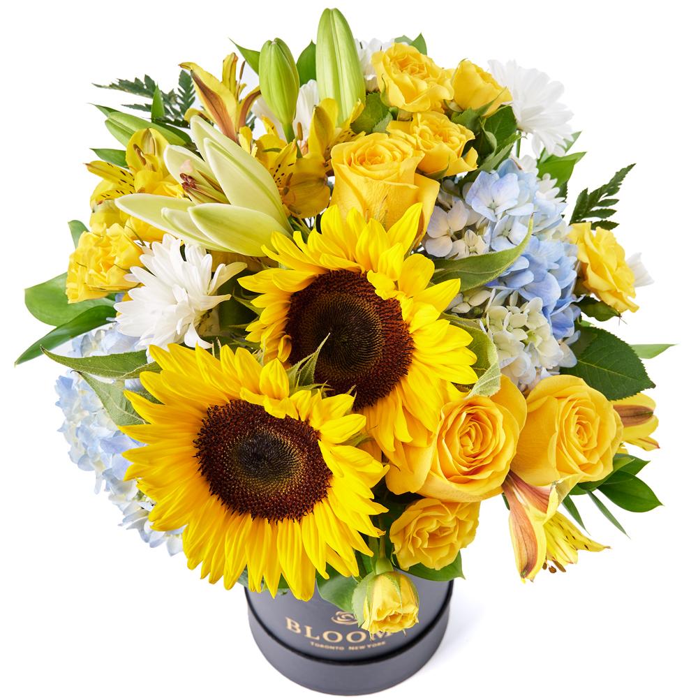 Crowning Glory Sunflower Arrangement - New York Blooms - USA flower delivery