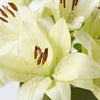 Cornsilk Surprise Lily Bouquet, White Lilies, Lily Gifts, Floral Hat Box, Floral Gift Baskets, Lily Hat Box, NY Same Day Delivery