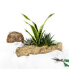 Succulent Log Garden from New York Blooms - Planter Gifts - New York Delivery.