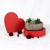Valentine's Day Heart Succulent Trio from New York Blooms - Planter Gifts - New York Delivery.