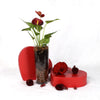 Valentine's Day Statement Red Anthurium, Anthurium, Planter Gifts, Plant Gifts, Valentine's Day, Flower Gifts, NY Same Day Delivery