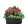 Valentine's Day Chocolate Dipped Strawberries Tin from New York Blooms - Gourmet Gifts - New York Delivery.