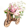 Dreaming of Orchids Flower Gift, Planter Gifts, Mixed Floral Arrangement, Orchids, Floral Gift Baskets, NY Same Day Delivery
