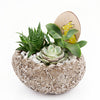 Easter Egg Rock Succulent, Succulent Garden, Floral Gifts, Succulent Gifts, NY Same Day Delivery