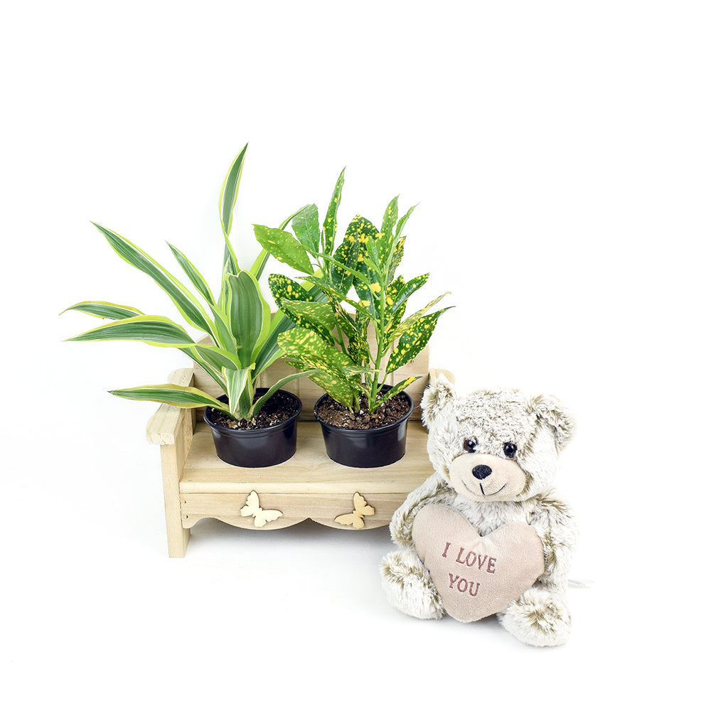 The Gardener's Chair from New York Blooms - Planter Gifts - New York Delivery.
