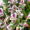 Ivory Dreams Lily Bouquet, Peruvian Lily, Floral Bouquet, Monochrome Bouquet, NY Same Day Delivery