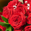 Valentine's Day Dozen Red Roses Bouquet, roses, bouquet, New York Same Day Flowers Delivery, Valentine's Day gifts