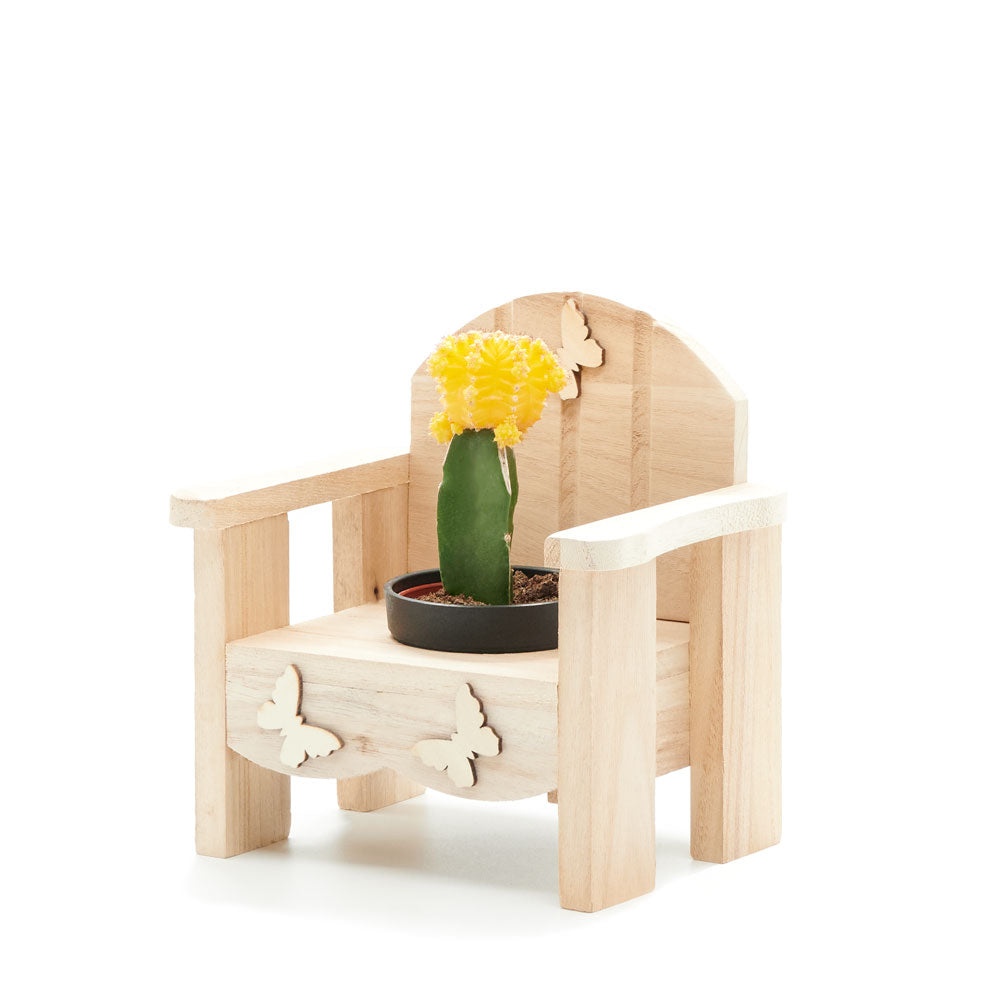 Laid-Back Cactus Gift, potted plant gift , potted plant gifts, gifts, cactus, potted plant, New York Blooms - New York Delivery Blooms