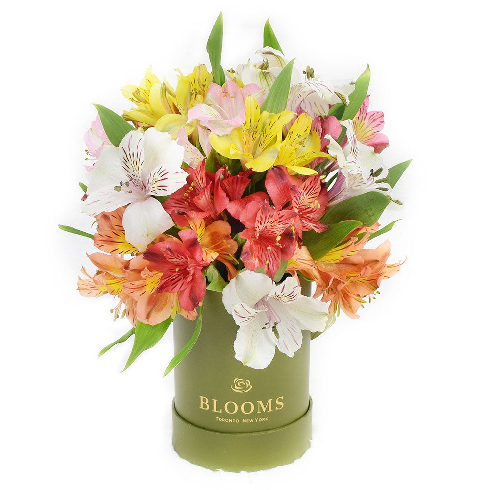 Livewire Lilies Flower Gift, Lily Gifts, Floral Gifts, Mixed Floral Arrangement Hat Box, NY Same Day Delivery