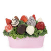 Mother’s Day Pink 12 Chocolate Covered Strawberry Gift Tin from New York Blooms - Gourmet Gifts - New York Delivery.