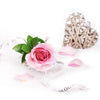 Mother's Day Single Pink Rose from New York Blooms - Flower Gifts - New York Delivery.