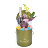 Mother’s Day Champagne, Orchid & Treat Gift Box from New York Blooms - Champagne & Floral Treat Gift Box - New York Delivery.