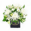 Peaceful White Mixed Floral Arrangement from New York Blooms - Floral Gift Hat Box - New York Delivery.