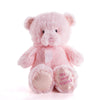 Pink Best Friend Baby Plush Bear from New York Blooms - Plush Gifts - New York Delivery.