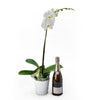 Pure & Simple Flowers & Champagne Gift, White Orchid and Champagne, Champagne Gift Baskets, Floral Gift Baskets, Gourmet Gift Baskets, Floral Gifts, NY Same Day Delivery