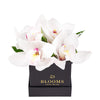 Simple Orchid Gift Box, Orchid Hat Box, Orchid Gifts, Floral Arrangements, NY Same Day Delivery