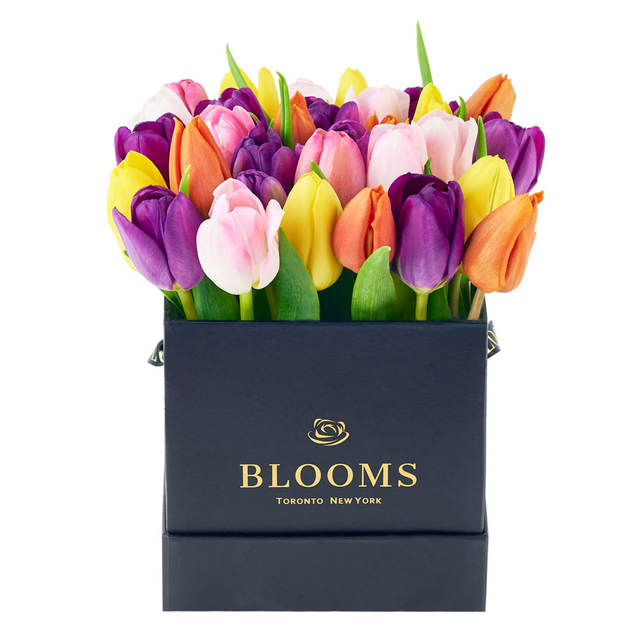 Spring Fling Tulip Arrangement from New York Blooms - Floral Gift Box - New York Delivery.