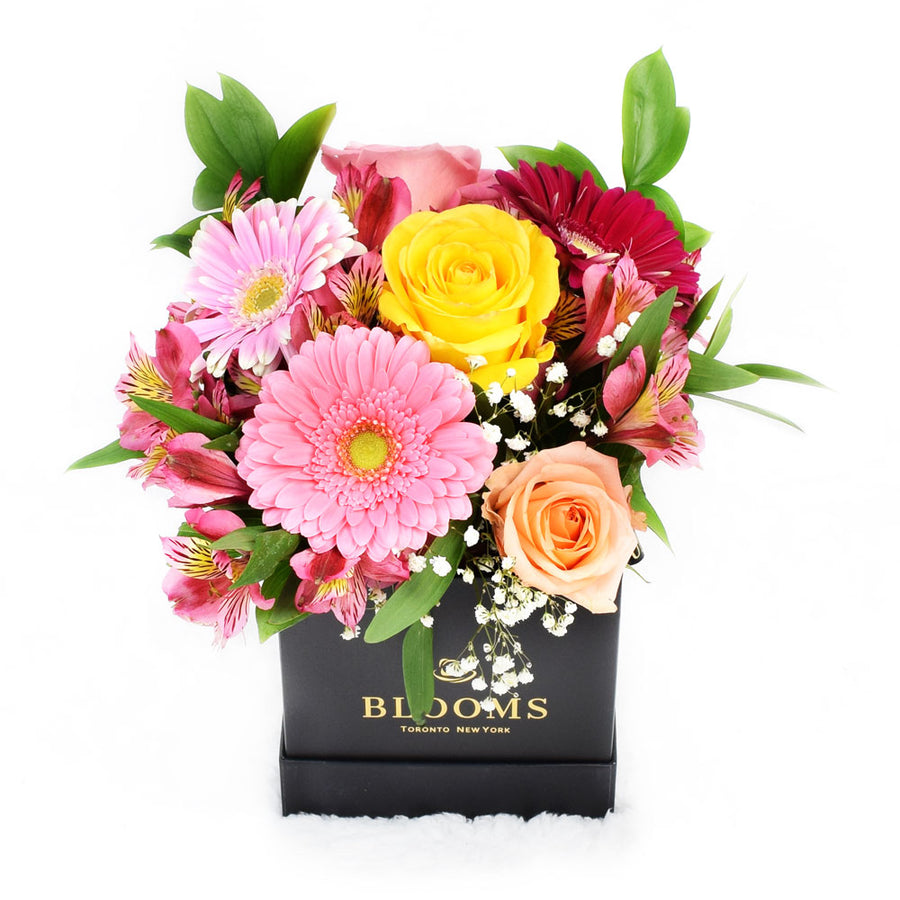 Touch of Spring Box Arrangement from New York Blooms - Mixed Floral Box Gifts - New York Delivery.