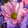 Violet Fantasy Mixed Iris Bouquet, Iris and Roses, Daisies, Tulips, Roses, Carnations, Irises, Multi-Colored Arrangement, Mixed Floral Arrangement, Mixed Floral Bouquet, Floral Gifts, NY Same Day Delivery