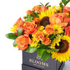 You Are My Sunshine Sunflower Box Gift - New York Blooms - USA flower delivery