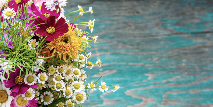 Top 10 Summer Flowers and How to Care for Them