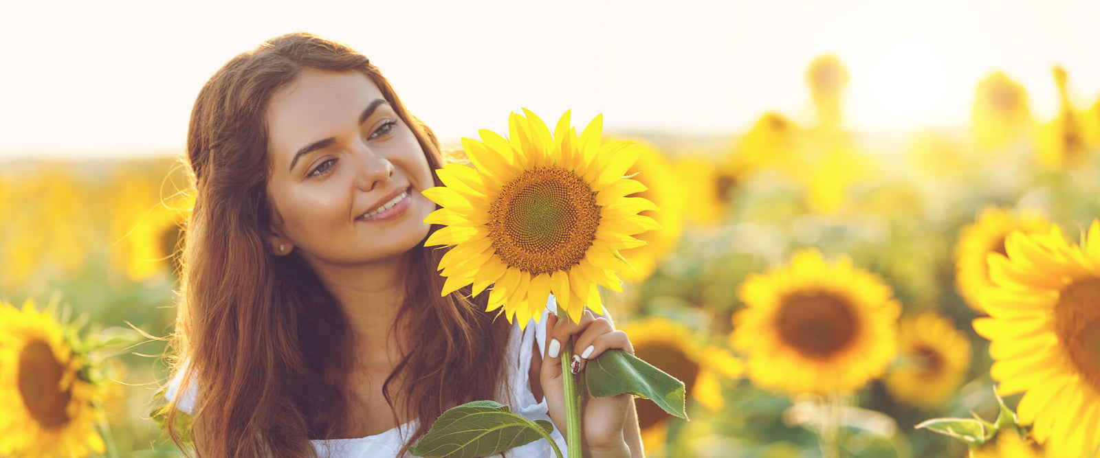Summer Flower Gifts