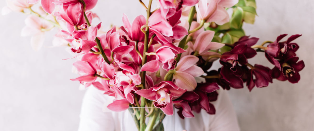 Orchids 