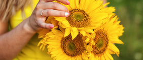 Sunflower Gifts | Best Flower Delivery New York