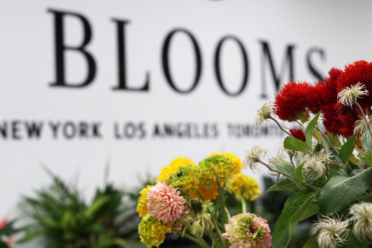 Same-day flower delivery across New York City