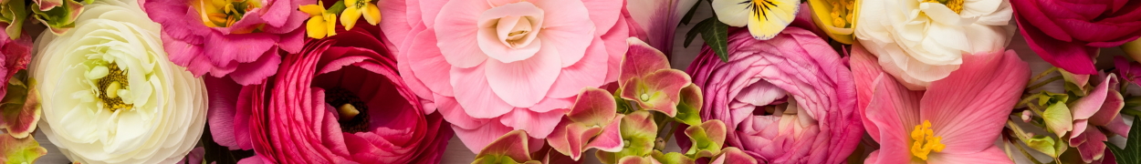 Same day flower delivery New York – New York flowers gifts