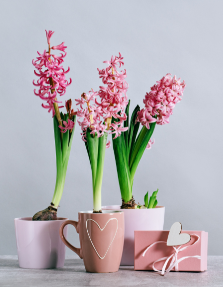 Same day flower delivery New York – New York flowers gifts