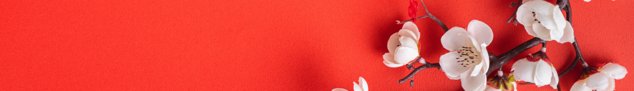 Same day flower delivery New York – New York flowers gifts