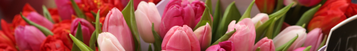 Same day flower delivery New York – New York flowers gifts