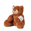 Get Well Soon Teddy, plush bear gift, plush bear, teddy bear gift, teddy bear. New York Blooms