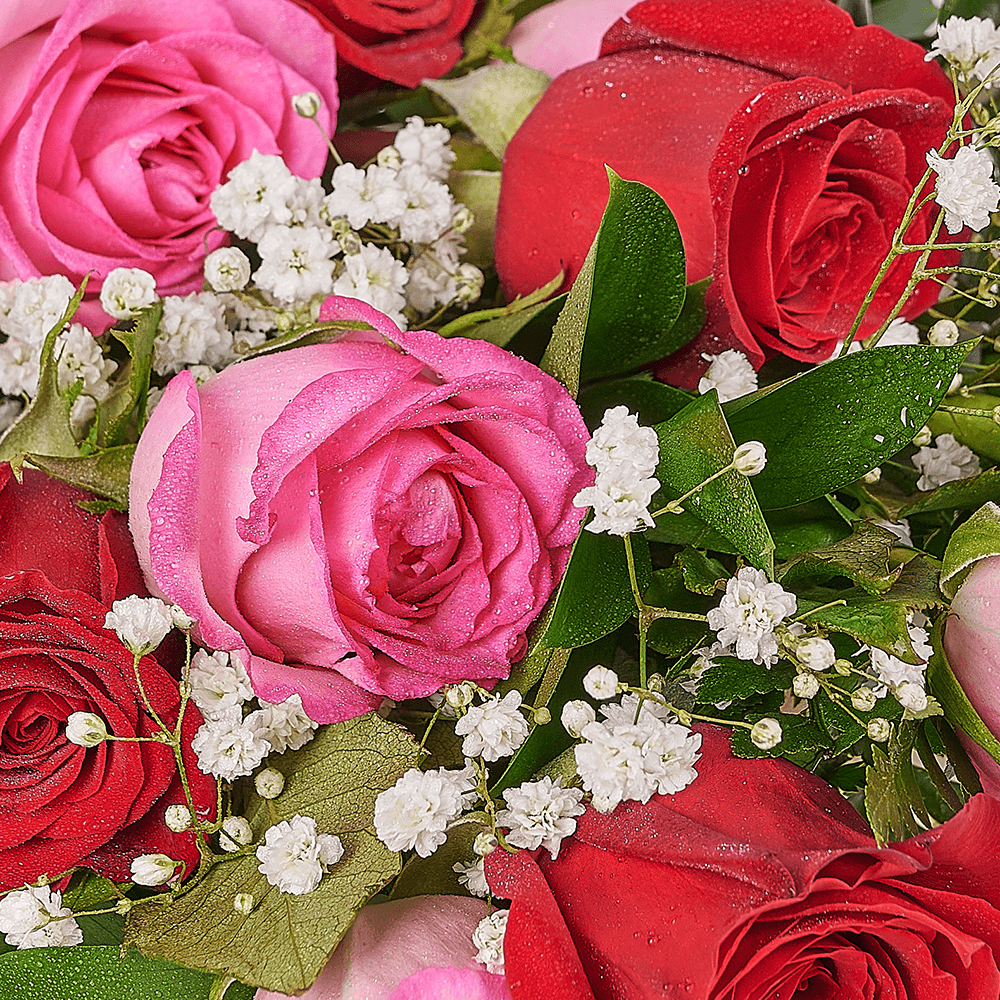 Mother’s Day 12 Stem Red & Pink Bouquet, rose gift, rose, mothers day gift, mothers day, New York delivery