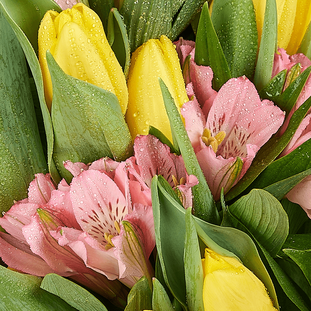 Spring Radiance Mixed Bouquet, tulip gift, tulips, flower gift, flower, seasonal flower gift, seasonal flower, New York delivery