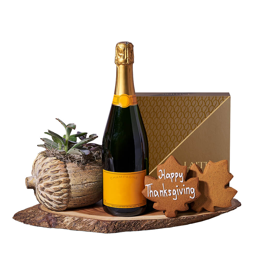 Thanksgiving Champagne &amp; Succulent Gift from New York Blooms - Plant &amp; Champagne Gift Set - New York Delivery.