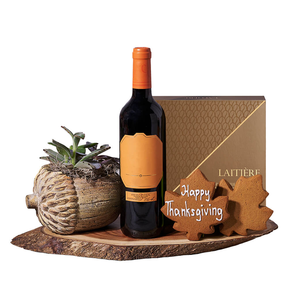 Thanksgiving Wine &amp; Succulent Gift from New York Blooms - New York Delivery.