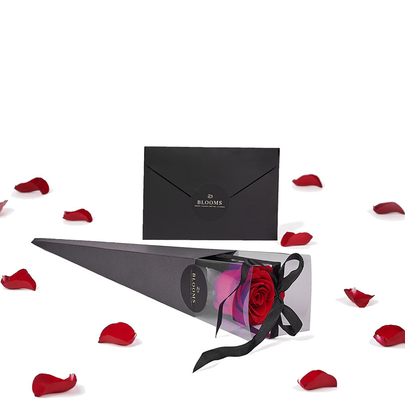 Valentine's Day Single Red Rose, valentine's day flower gift, valentines day flower, valentines day gift, valentines day, rose gift, rose