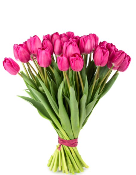 Same day flower delivery New York – New York flowers gifts