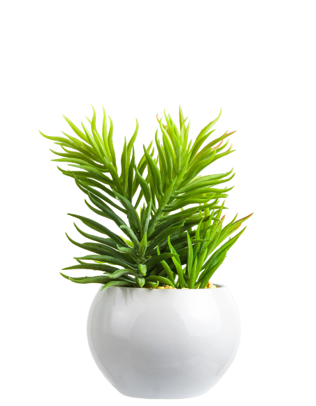 Same day flower delivery New York – New York flowers gifts