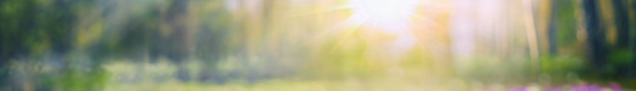 Same day flower delivery New York – New York flowers gifts