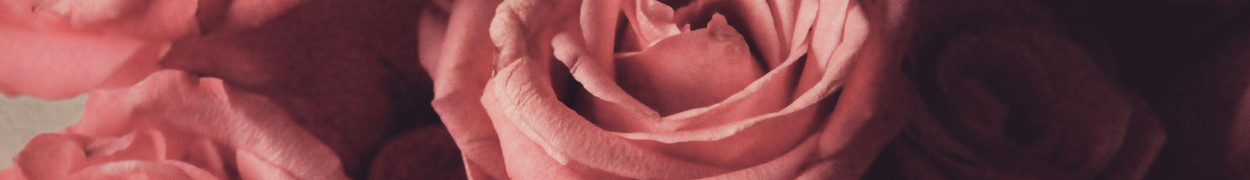 Same day flower delivery New York – New York flowers gifts