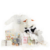 ABC Baby Gift Basket - New York Blooms - New York delivery
