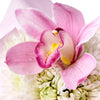 Orchid & Daisy Floral Gift Box from New York Blooms - Floral Gift Box Set - New York Delivery.